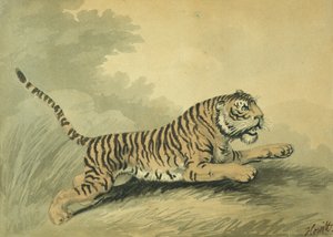 Tiikeri hyppää oikealle, 1807