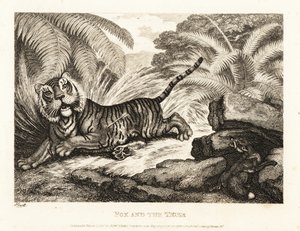 Kettu katselee haavoittunutta tiikeria. 1811 (etsaus) tekijältä Samuel Howitt