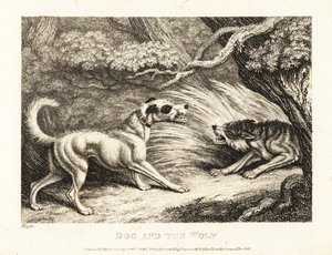 Kaulapantaan kiinnitetty talokoira tarjoaa ruokaa nälkäiselle sudelle. 1811 (etsaus) tekijältä Samuel Howitt