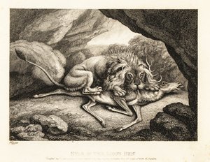 Leijona syö polttarin ruhoa luolassa. 1811 (etsaus)