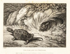 Kilpikonna ohittaa nukkuvan jänisen kisassa. 1811 (etsaus) tekijältä Samuel Howitt