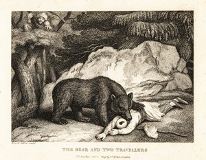 Turbaaniin pukeutunut matkustaja leikkii kuolleena karhun kimppuun. 1811 (etsaus) tekijältä Samuel Howitt