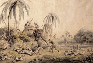 Metsästys Kuttauss tai Civet Cat, tekijältä Samuel Howitt