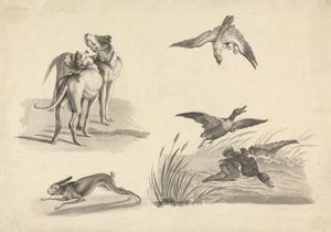 Folha de Estudos de Hounds, Hare, Falcon e Ducksfinnish tekijältä Samuel Howitt