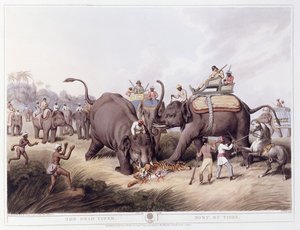 Kuollut tiikeri; Mort du Tigre, 1807