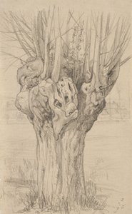 ryppyinen puu, 1884 (grafiitti kiillotetulla paperilla)