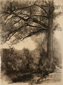 Maisema, jossa on suuri puu, 1884 (hiili härskille paperille)