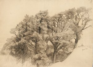 Maisema puineen, 1884 (hiili härskille paperille)