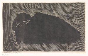 Makaava biisoni tekijältä Samuel Jessurun de Mesquita (signed by artist)