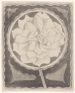 Roos tekijältä Samuel Jessurun de Mesquita (signed by artist)
