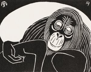 Orangutangi