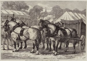 Lincolnshire Agricultural Societyn kokous Sleafordissa, ensimmäisen palkinnon saanut hevosjoukkue