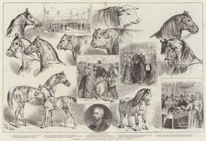 Luonnokset Royal Agricultural Societyn kokouksessa Norwichissa