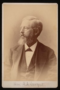 Aaron Augustus Sargentin muotokuva 1827-1887, 1876-1880.