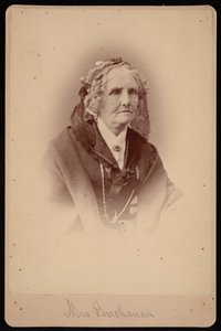 Retrat de la senyora Buchanan, 1875. finlandès