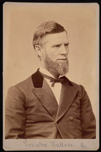 William Andrew Wallacen muotokuva 1827-1896, 1876-1880.