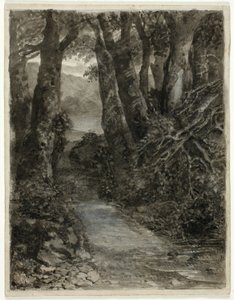 Metsämaatutkimus tekijältä Samuel Palmer