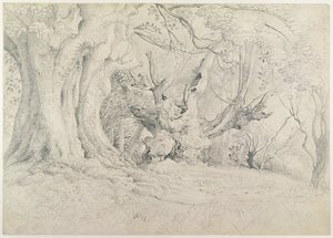 Ancient Trees, Lullingstone Park, 1828 (grafiitti paperille) tekijältä Samuel Palmer