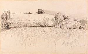 Maissipellot Barnin kanssa, Shoreham tekijältä Samuel Palmer