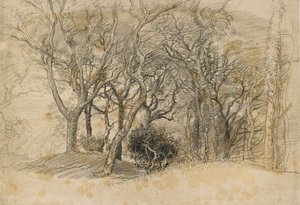 Study of Trees, Clovelly Park, 1834 tekijältä Samuel Palmer