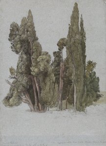 Sypressit Villa d