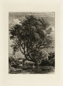 Willow tekijältä Samuel Palmer