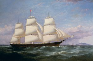 Baltimore Clippership "Carrier Dove"