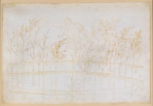 La Divina Commedia, Paradiso I: Nousu tuliseen taivaaseen. Beatrice selittää Dantelle maailmankaikkeuden voimat tekijältä Sandro Botticelli