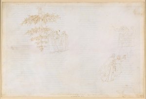 La Divina Commedia, Purgatorio XXII: Nousu Purgatorion kuudenteen renkaaseen; keskustelut Statiuksen kanssa; ahmijoiden katumus tekijältä Sandro Botticelli
