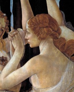 La Primavera tekijältä Sandro Botticelli