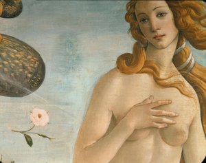 Venuksen syntymä (Venus Anadyomene) tekijältä Sandro Botticelli