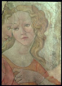 Venus ja kolme armoa tarjoamassa lahjoja nuorelle tytölle, yksityiskohta yhdestä armosta, n.1483, fresko, yksityiskohta kuvasta 33760 ks. myös 93891-2, 93894.