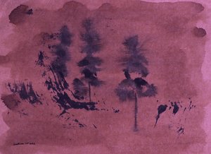 Pimeä metsämaisema tekijältä Santhosh ch