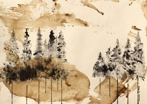 Metsän seesteisyys tekijältä Santhosh ch