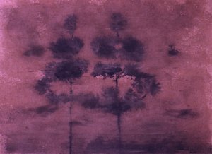 Sumuinen violetti metsä tekijältä Santhosh ch