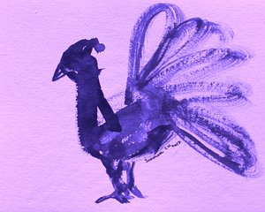 Kuninkaallinen purppuranvärinen riikinkukko