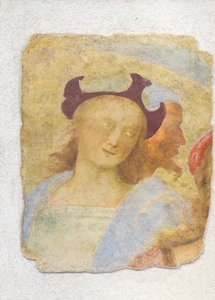 Nuori mies (fresko) tekijältä Sanzio of Urbino (attr. to) Raphael