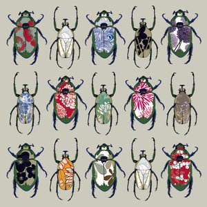 Beetledrive, 2008 (digitaalinen)