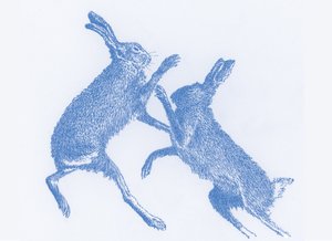 Nyrkkeilyjänikset, 2017 tekijältä Sarah Hough