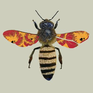 Honey Bee, 2010 (digitaalinen) tekijältä Sarah Hough