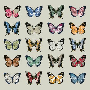 Papillon, 2008 (digitaalinen)