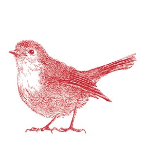 Robin, 2017 tekijältä Sarah Hough