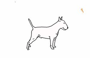 Bullterrieri, 2018, (digitaalinen piirustus) tekijältä Sarah Thompson Engels