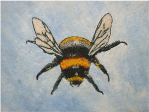 Bumblebee, 2015 (pastellit ja vesivärit) tekijältä Sarah Thompson Engels
