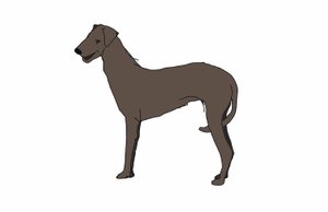 Koira, 2018, (digitaalinen piirustus) tekijältä Sarah Thompson-Engels