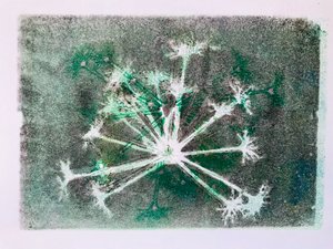 Seedhead I, 2020, (monoprintti) tekijältä Sarah Thompson-Engels