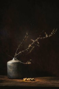  tekijältä Saskia Dingemans