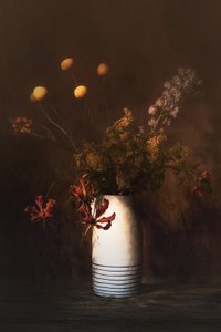  tekijältä Saskia Dingemans