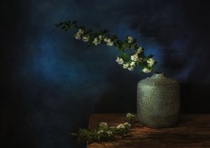  tekijältä Saskia Dingemans