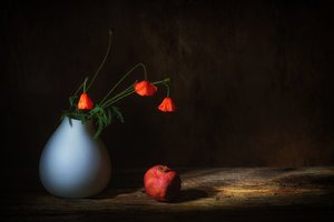  tekijältä Saskia Dingemans